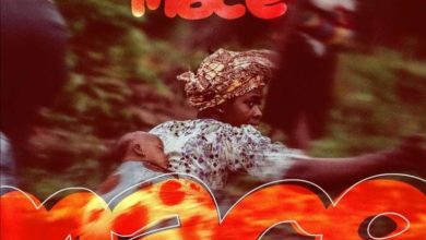 Mr442 - Mace mp3 download