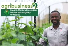 Apply For SMEDAN AgriBusiness Empowerment and Development Program (ADEP)