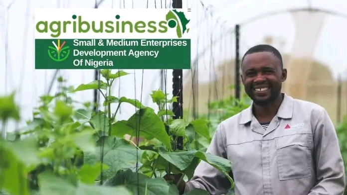 Apply For SMEDAN AgriBusiness Empowerment and Development Program (ADEP)