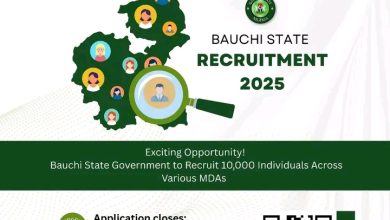Bauchi Gov’t Launches Recruitment Portal with Over 10,000 Job Opportunities