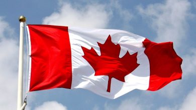 IRCC issued 8,036 ITAs for permanent residency in two recent Express Entry draws
