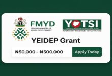 FG to begin YEIDEP grant in July, youths to receive up